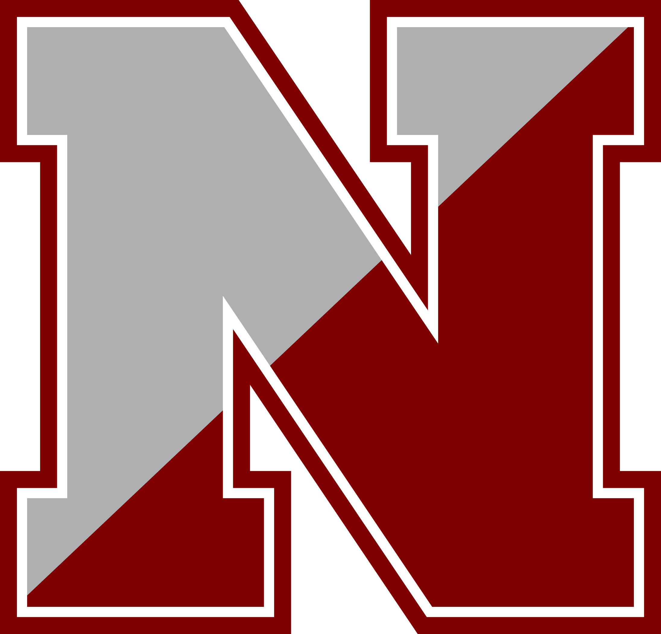 Newark Central School District's Logo